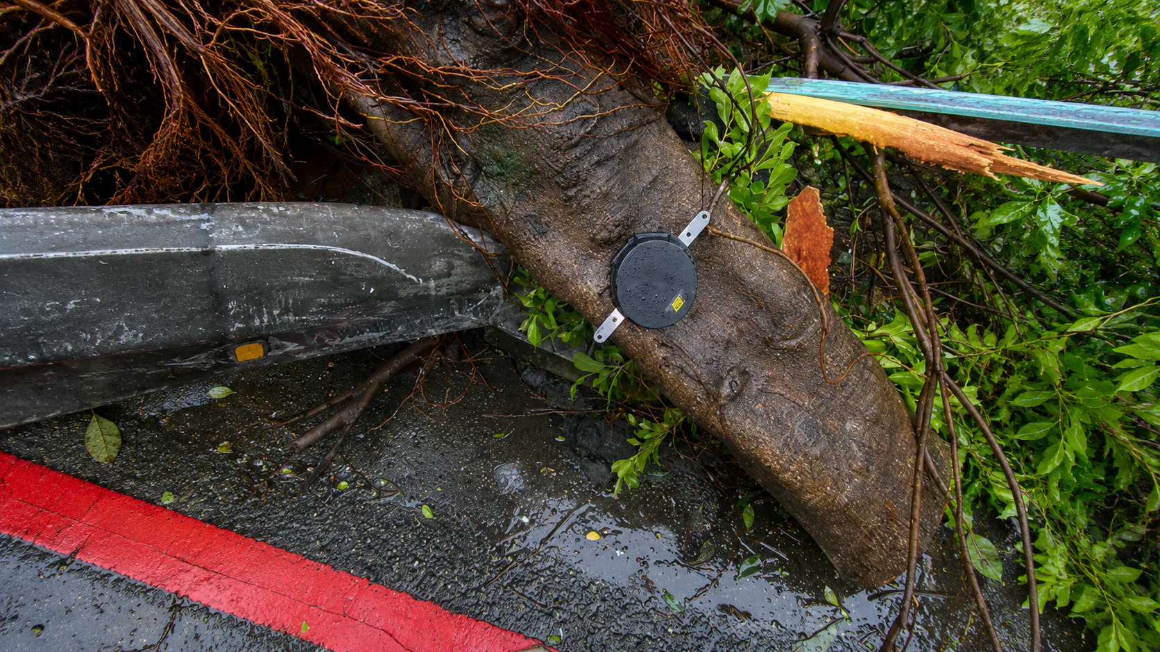 Smart Roadside Tree-Fall Prevention: Early Warning for Public Safety in Taiwan — on-site photo 2