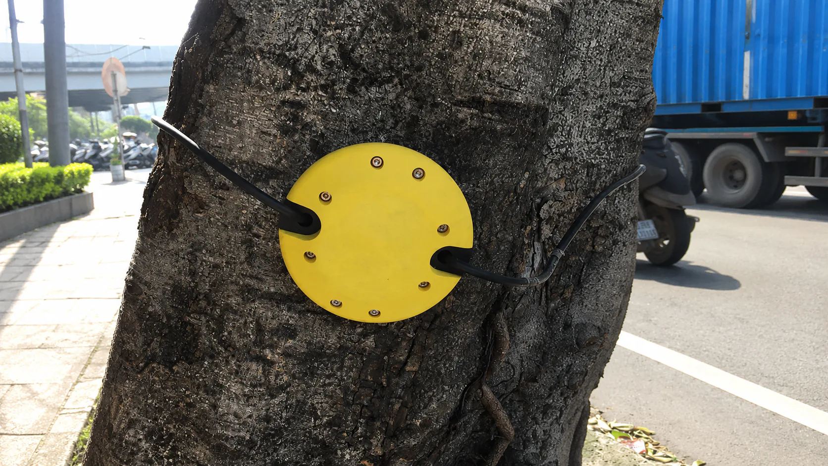 Smart Roadside Tree-Fall Prevention: Early Warning for Public Safety in Taiwan — on-site photo 5