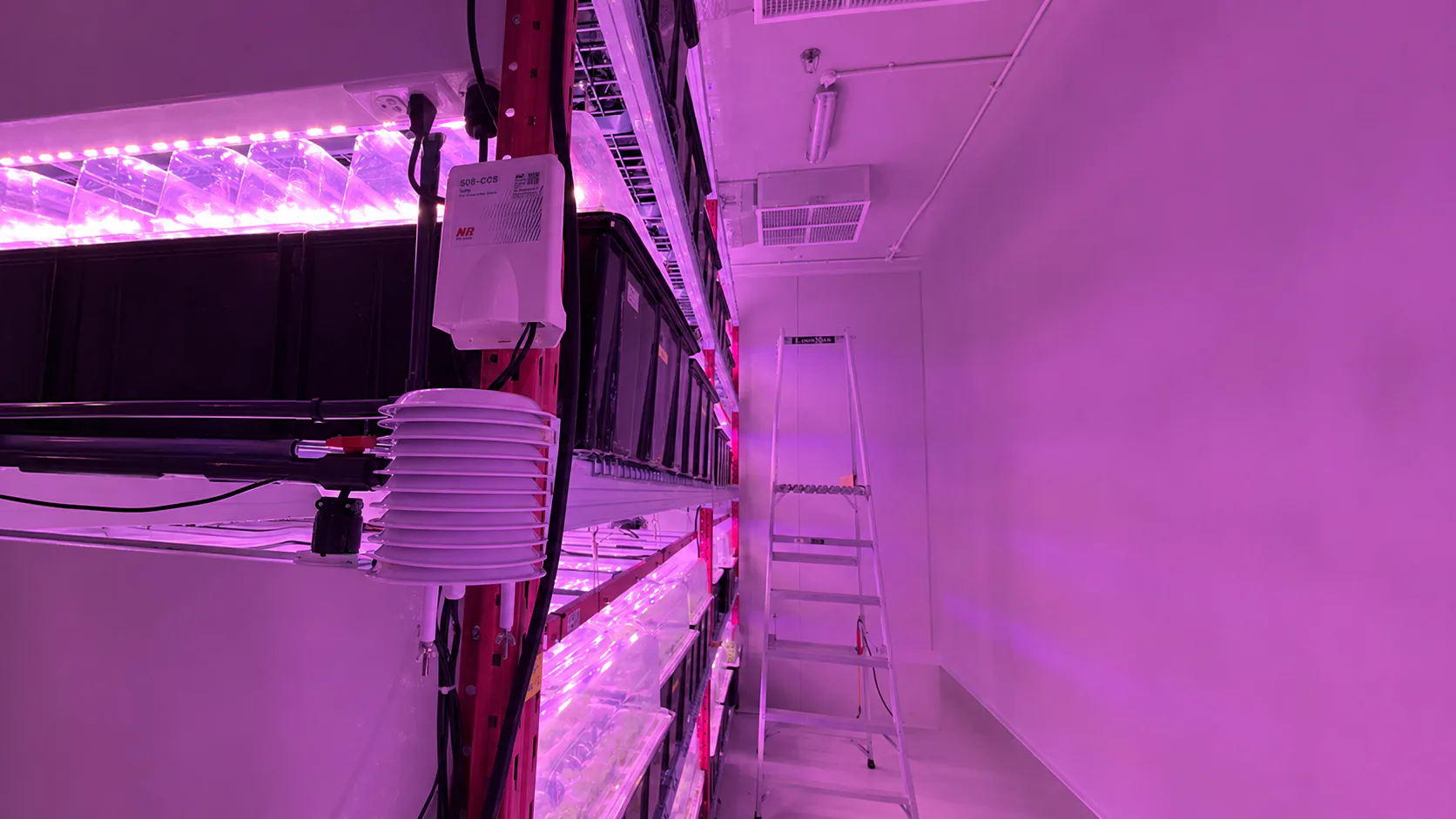 智慧垂直農場監測:新加坡穩定生產與參數管理實踐|現場照片 3